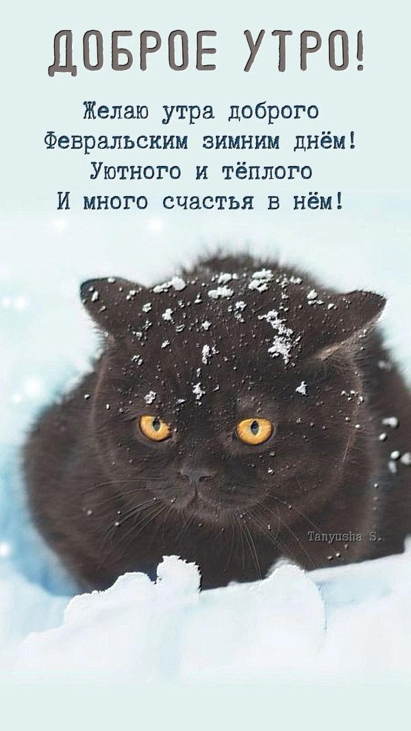 доброго утра зимнего