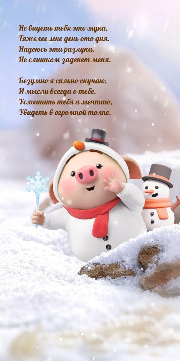 свиньи смешные