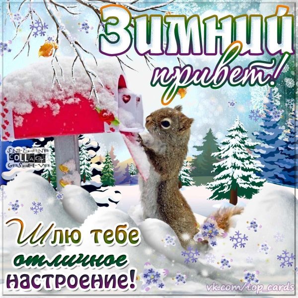 зимний привет