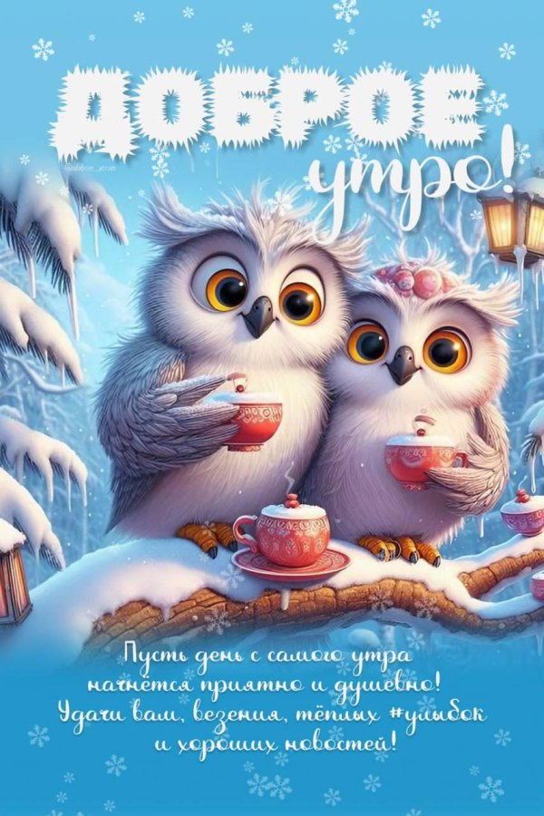 доброе утро зима прикольные новые