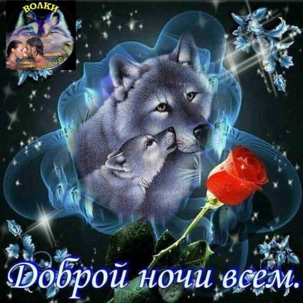 открытка спокойного ночи