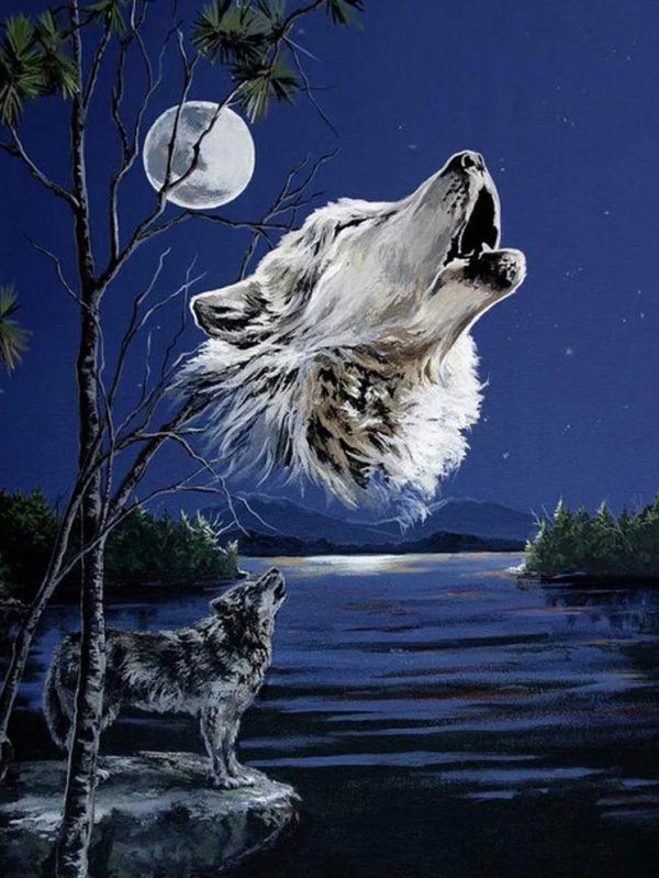 волки и луна