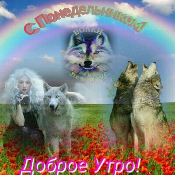 доброе утро с волком