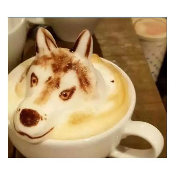 сиба ину кофе