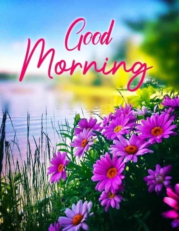 доброго утра природа