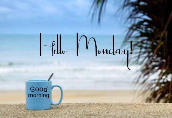 happy monday morning