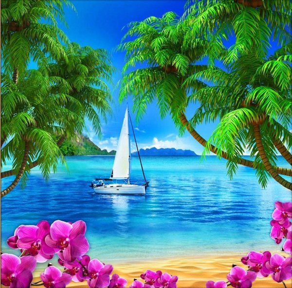 парадиз остров карибского моря