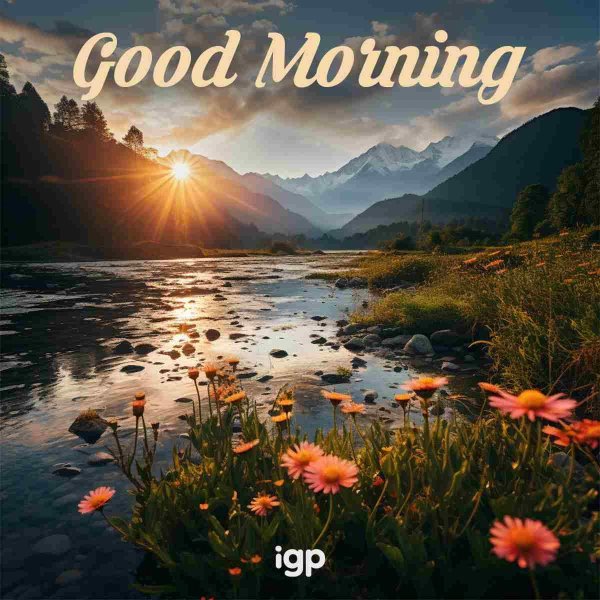 с добрым утром природа