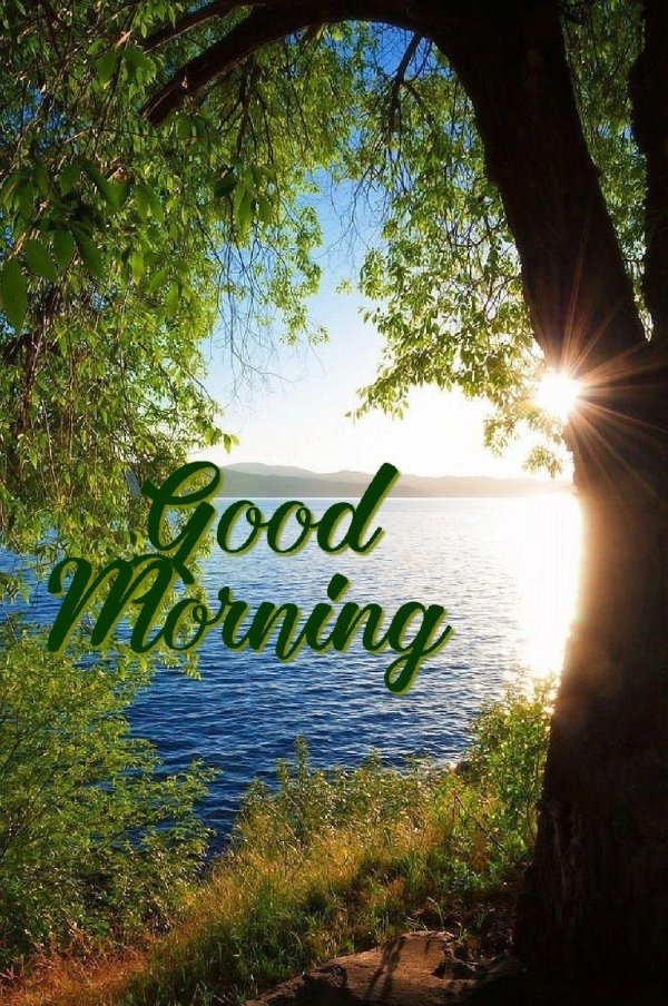 доброго утра природа