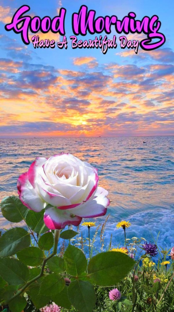 have a beautiful day