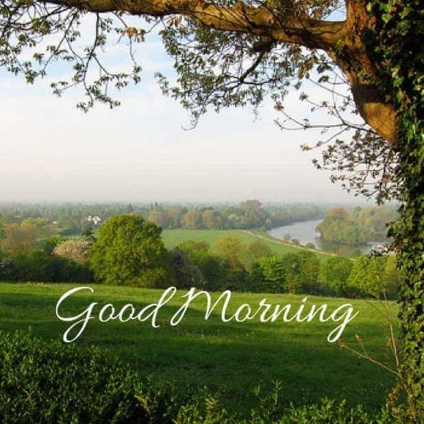 доброго утра природа