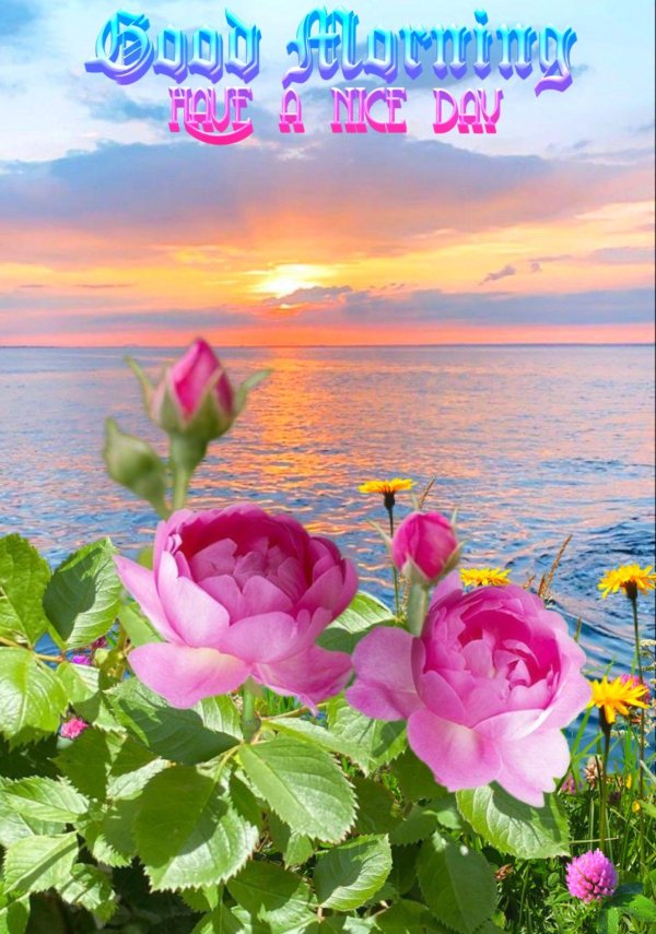 have a beautiful day