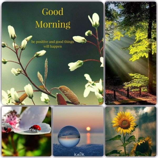 красивые коллажи с добрым утром