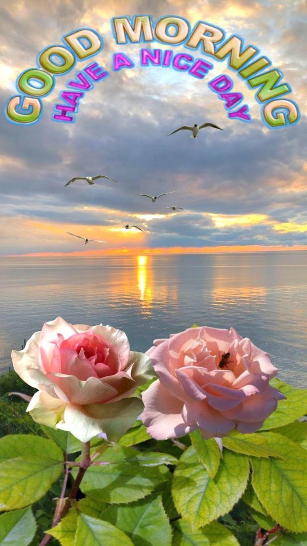 have a beautiful day