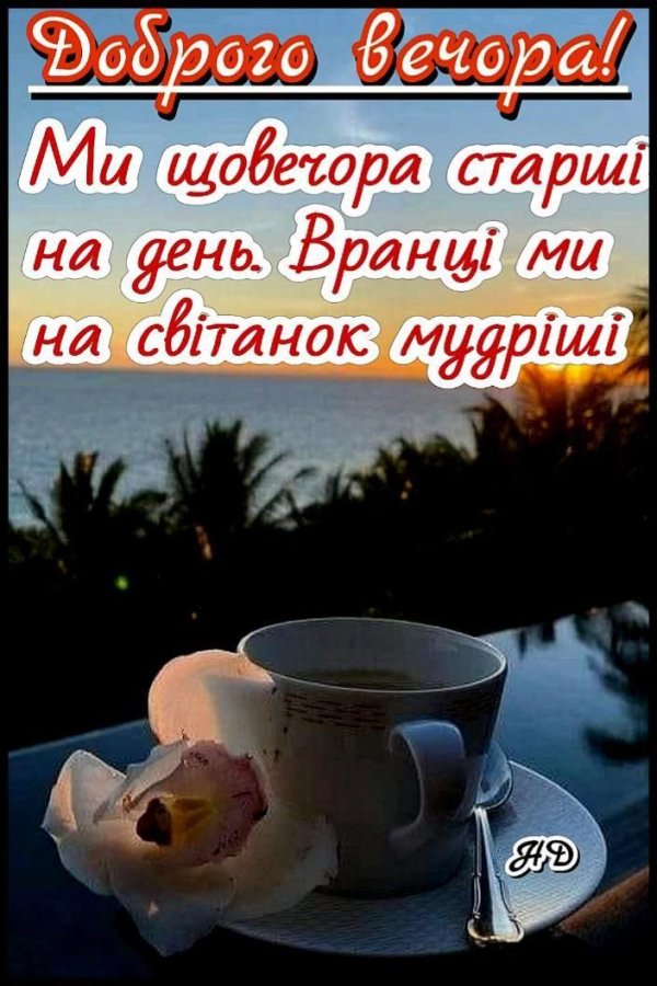 добрий вечір