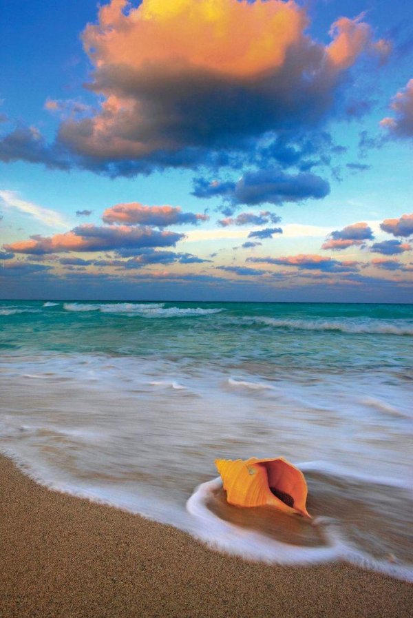 летний пляж