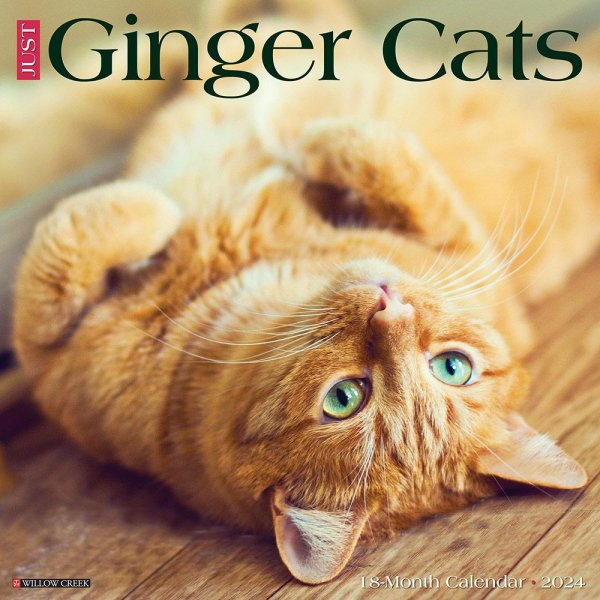 ginger cat