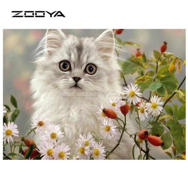 котенок в цветах