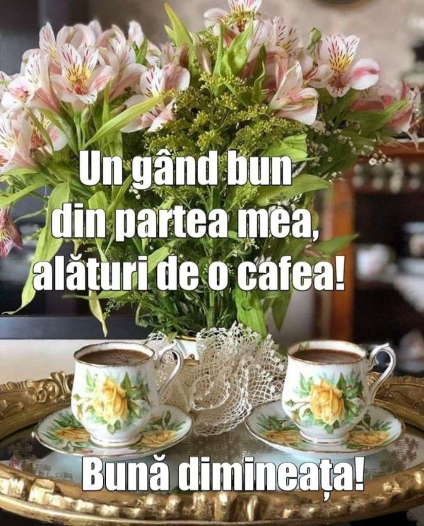 buna dimineata