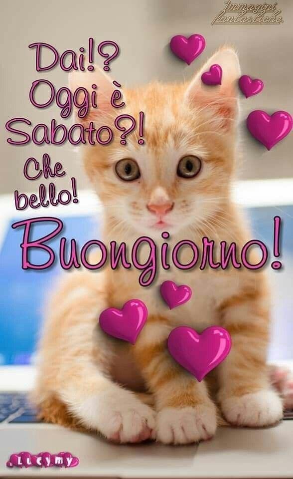 buongiorno sabato красивые