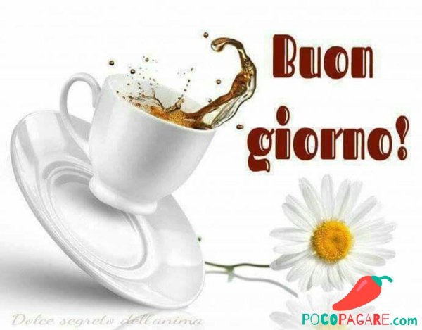 буон джорно