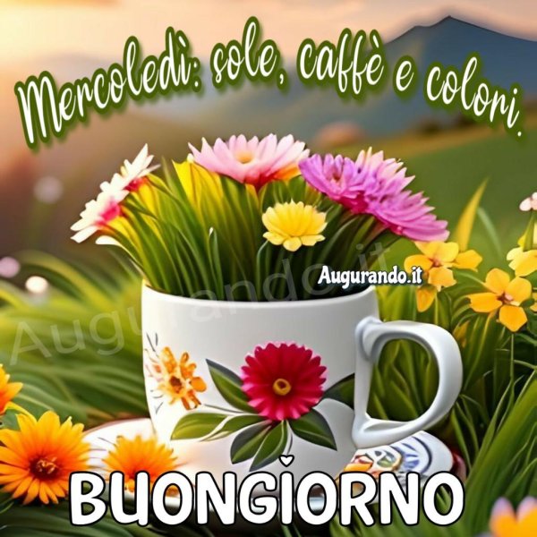 buon mercoledi