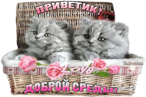 красивые поздравления со средой