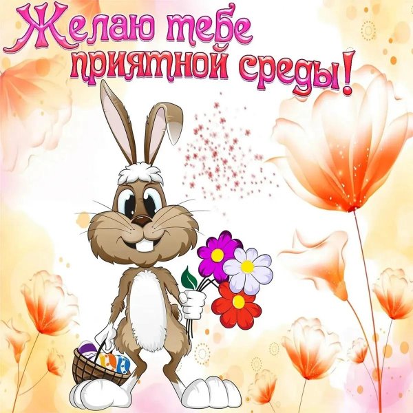 пожелание хорошей среды