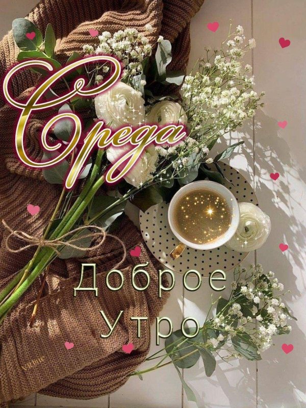 счастливой среды