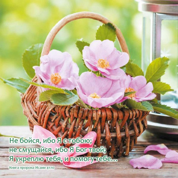 цветочки в корзиночке