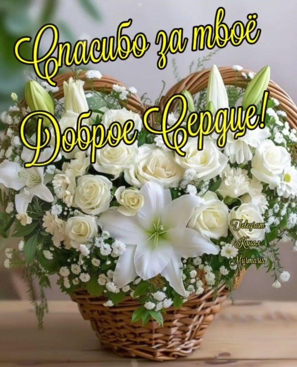 цветочные букеты