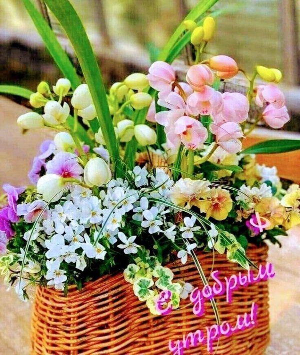 цветочные букеты