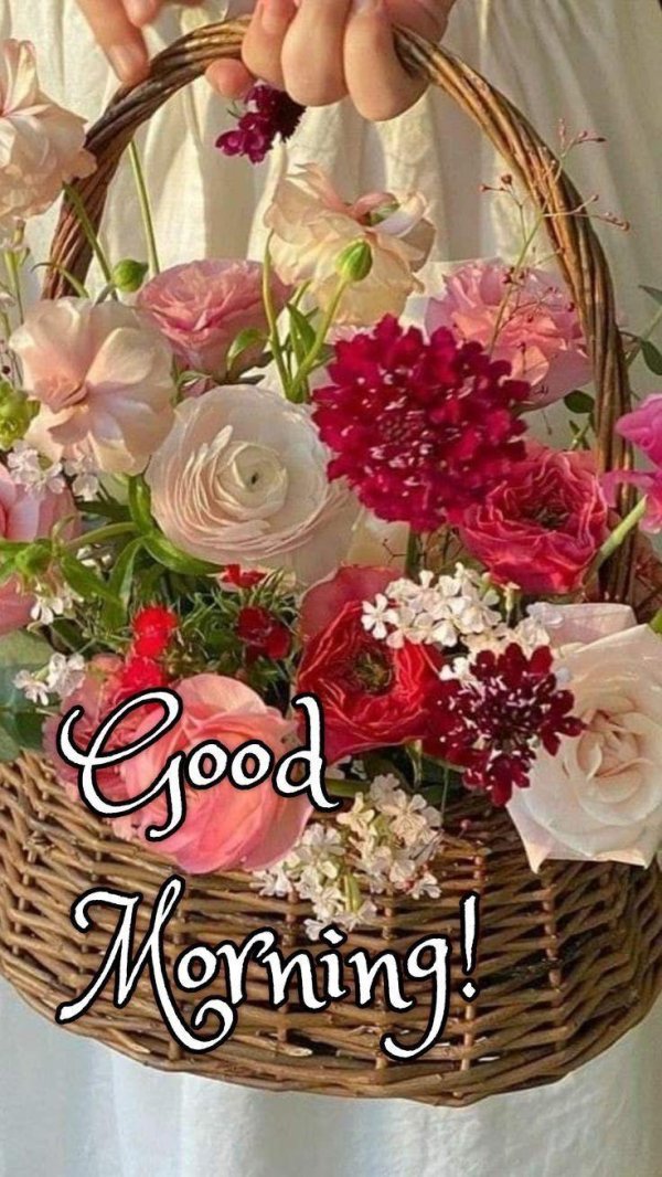 доброго утра цветы