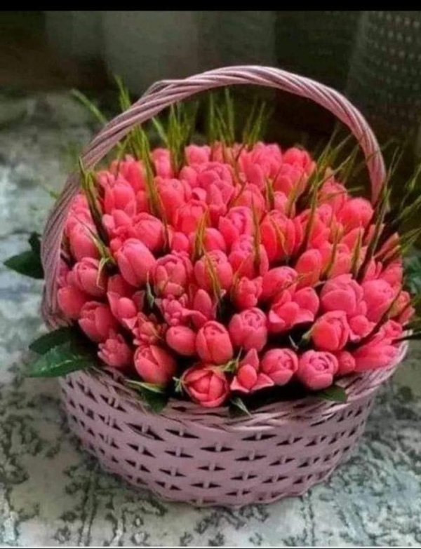 букет тюльпан