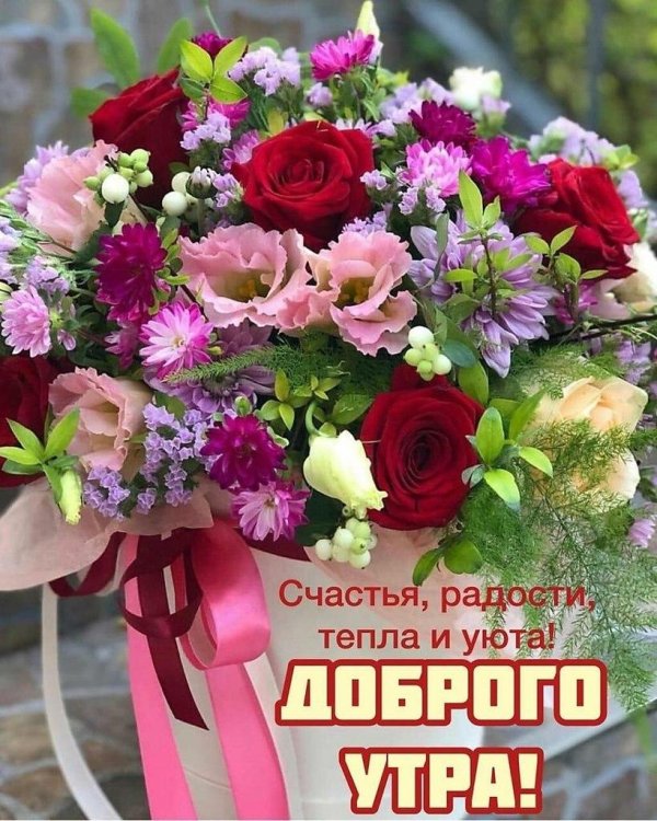 доброе утро цветочное
