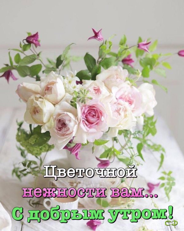 нежный цветок