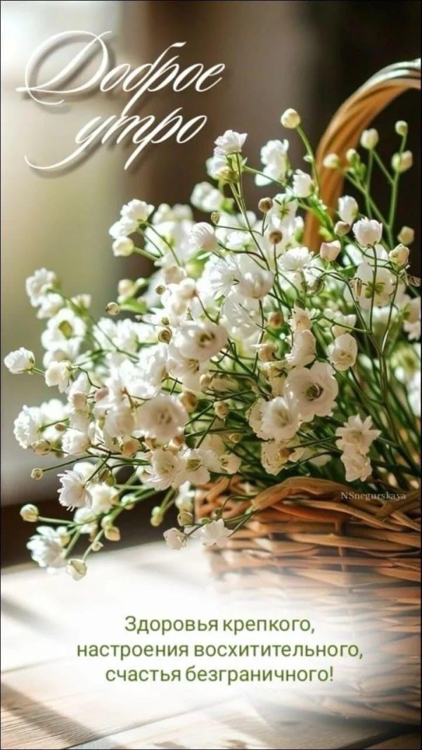 добра утра