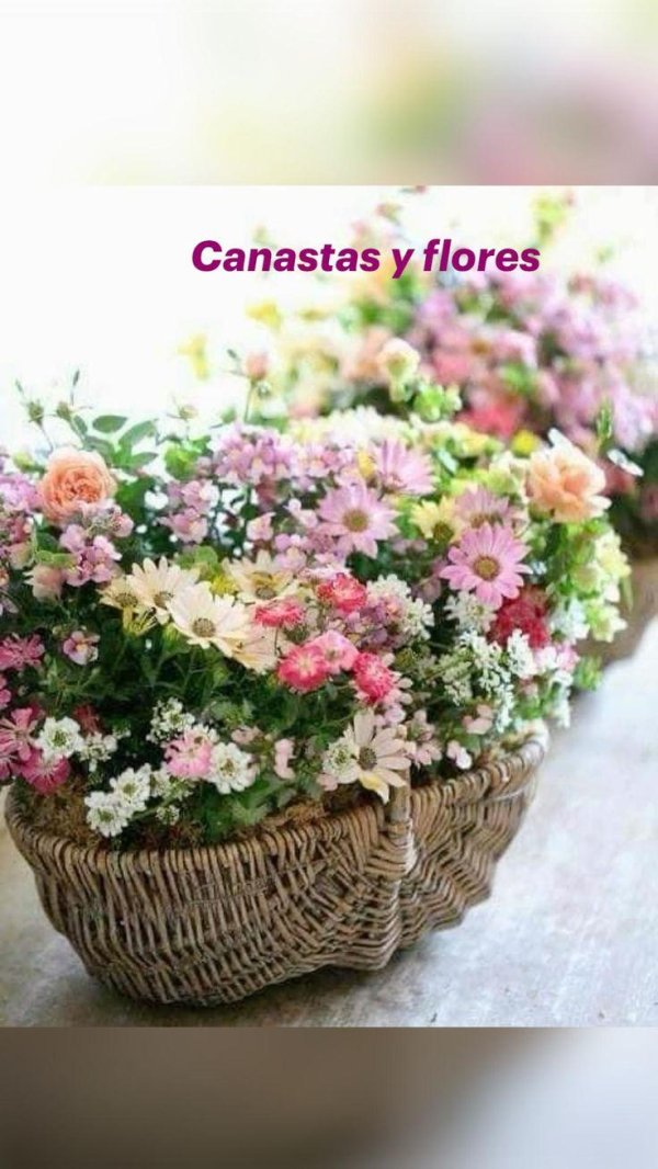 утро цветы корзина