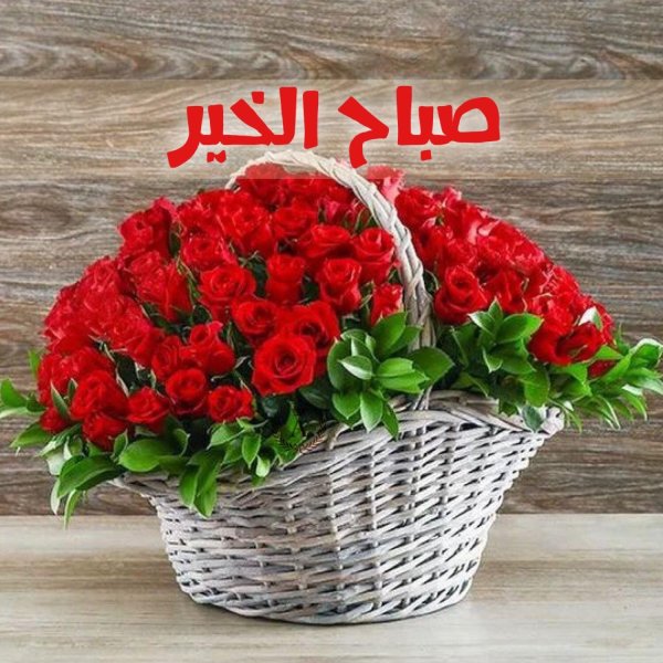корзины роз