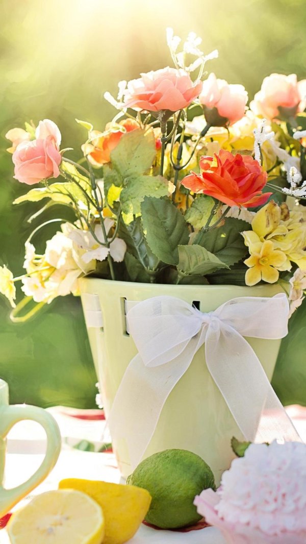 летнее утро доброе