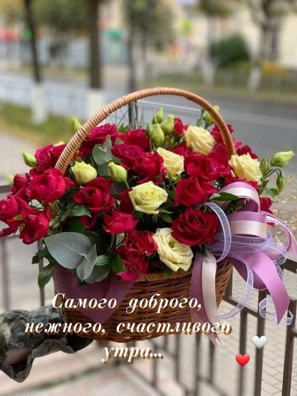 добрый день римма