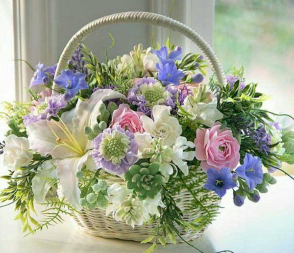 екатерина звержанская цветы