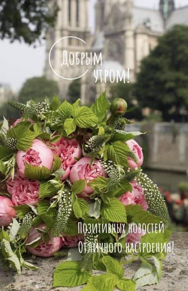 доброе утро цветочное