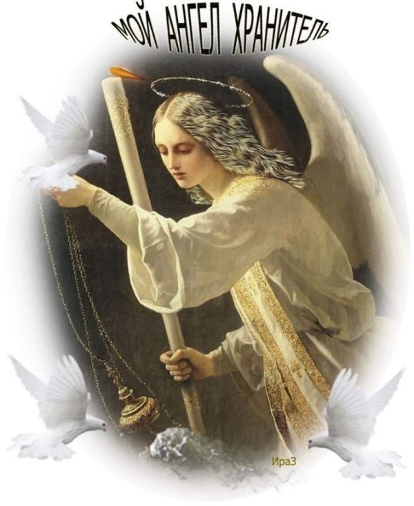 нефф тимофей андреевич ангел