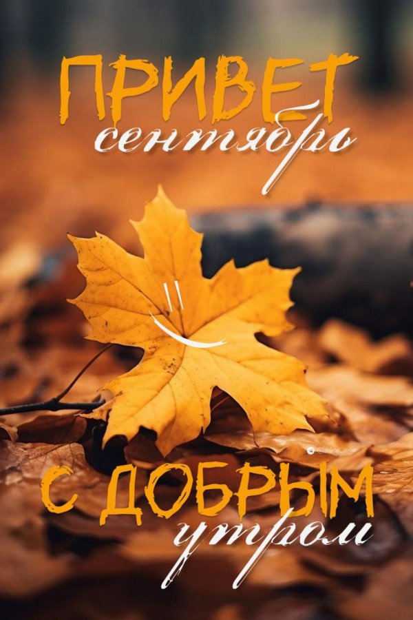 доброго осеннего утра и хорошего дня красивые