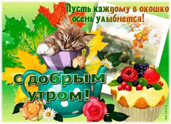 красивая осенняя открытка с добрым утром