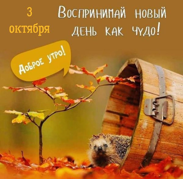 воспринимай новый день как чудо