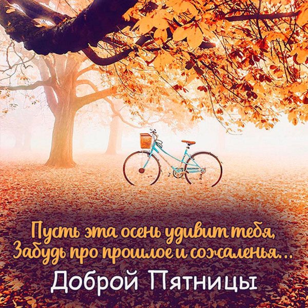 пятница осень