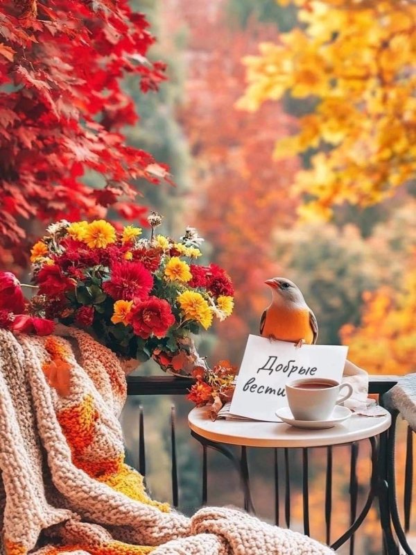 доброго осеннего утра понедельника