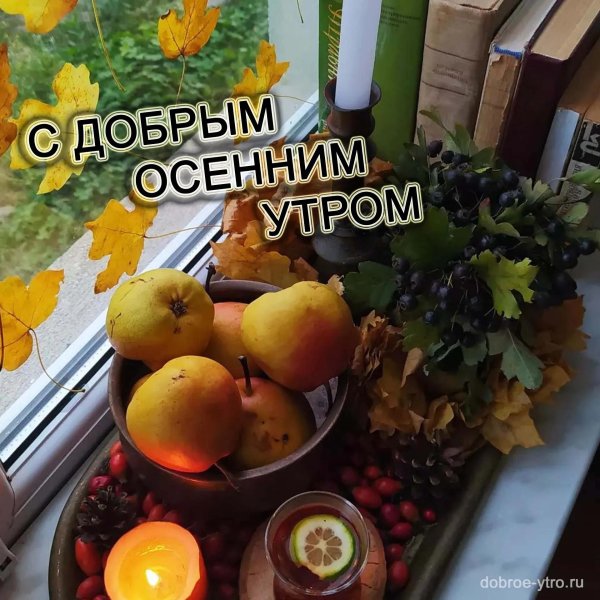 добрейшего осеннего утра